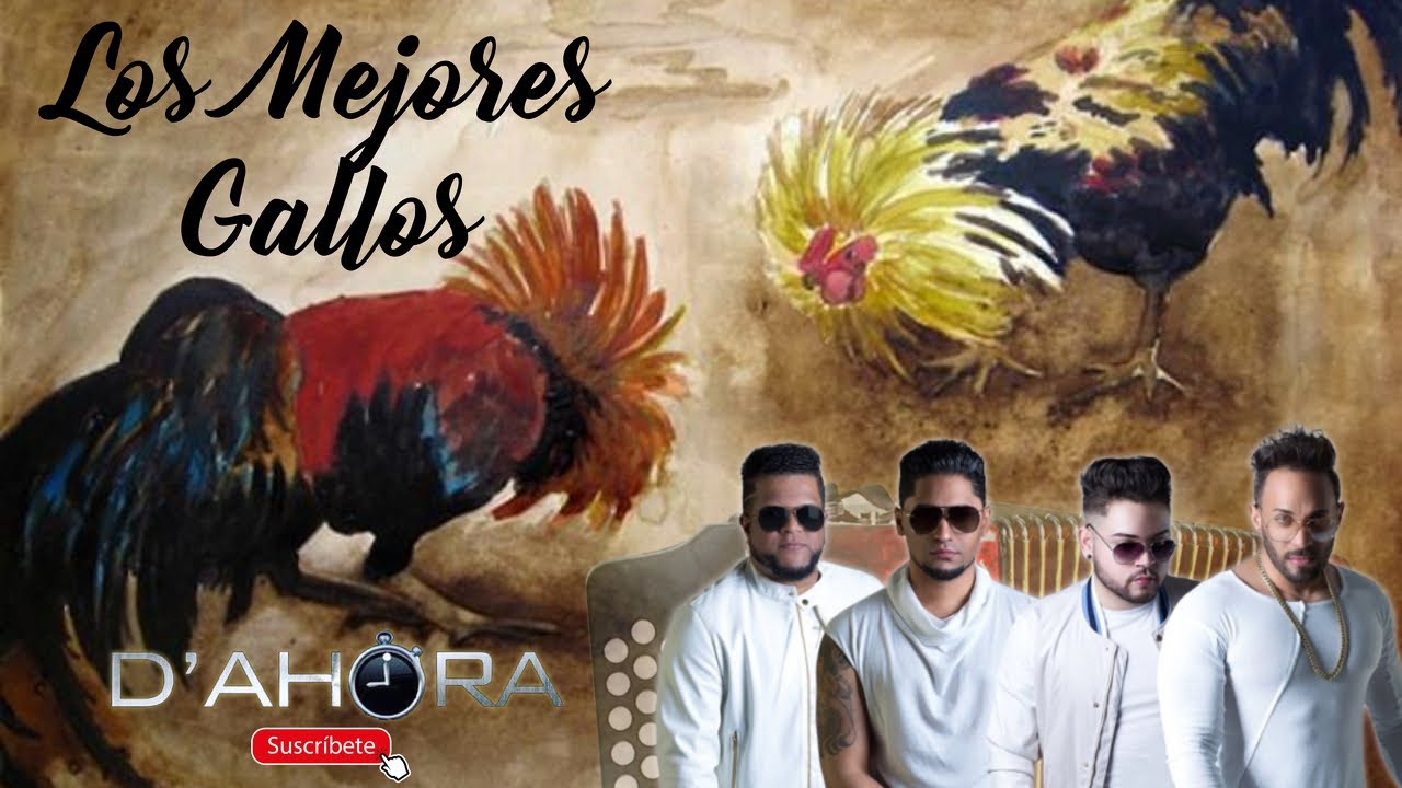 El Grupo D'Ahora - Los Mejores Gallos (En Vivo)